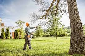  Brass Castle, NJ Tree Removal Pros