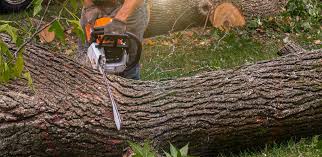 Best Lawn Watering Services  in Brass Castle, NJ